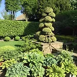 Bed & Breakfast Hall Cononley